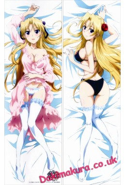 Campione - Erica Brandelli ANIME DAKIMAKURA JAPANESE PILLOW COVER