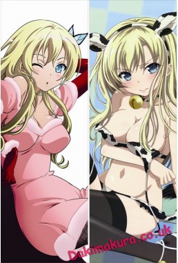 I Dont Have Many Friends - Sena Kashiwazaki Dakimakura 3d pillow japanese anime pillowcase